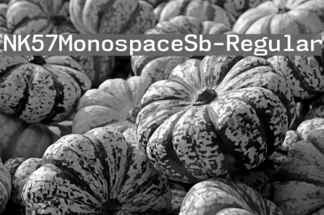 NK57MonospaceSb-Regular Example 3