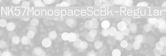 NK57MonospaceScBk-Regular Font examples