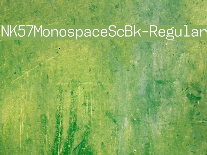 NK57MonospaceScBk-Regular Example 2