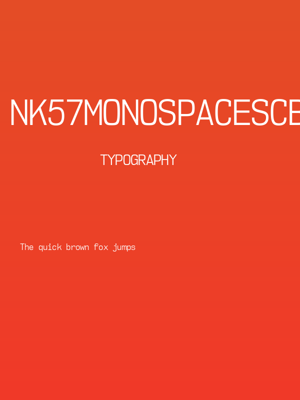 NK57MonospaceScBk-Regular Poster