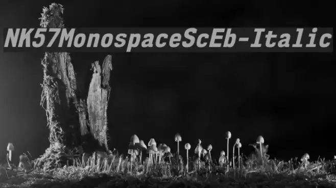 NK57MonospaceScEb-Italic Font examples