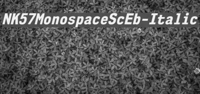 NK57MonospaceScEb-Italic Font examples