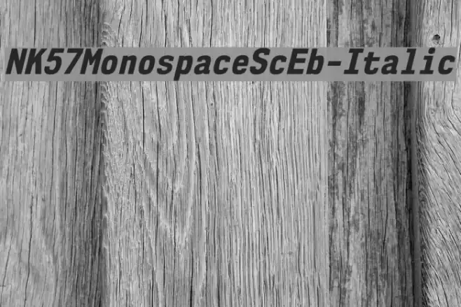 NK57MonospaceScEb-Italic Font examples