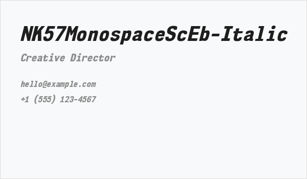 NK57MonospaceScEb-Italic Business Card