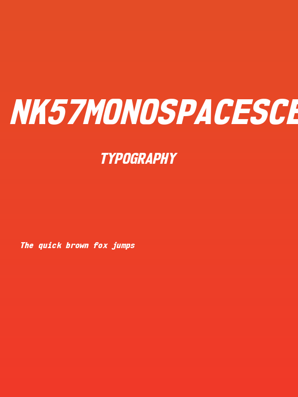 NK57MonospaceScEb-Italic Poster