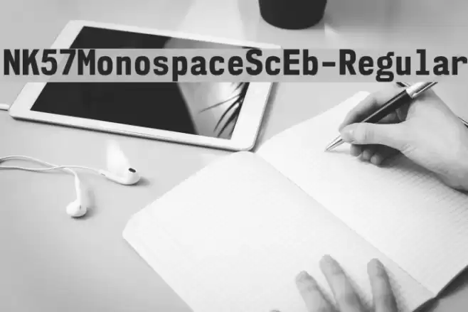 NK57MonospaceScEb-Regular Font examples