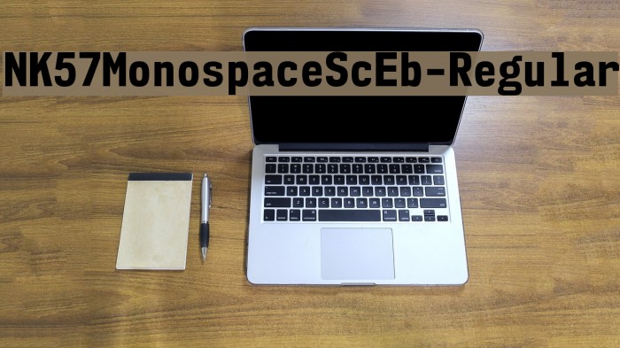 NK57MonospaceScEb-Regular Example 3
