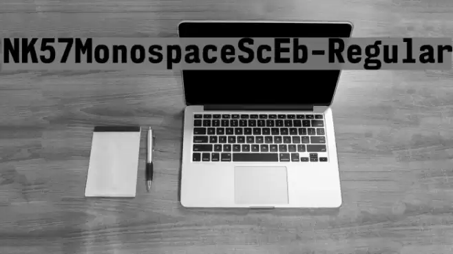 NK57MonospaceScEb-Regular Font examples