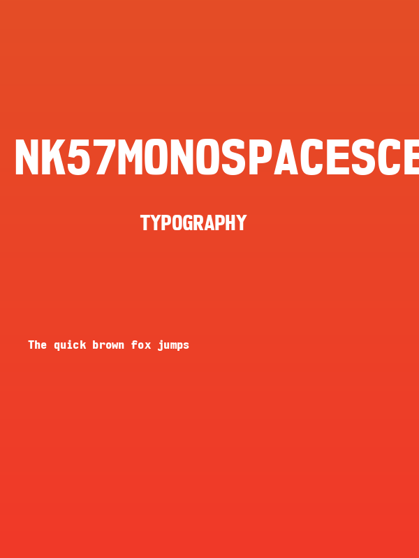 NK57MonospaceScEb-Regular Poster