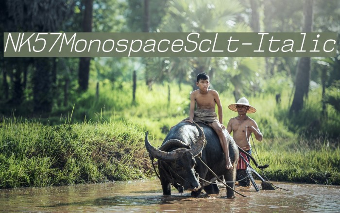 NK57MonospaceScLt-Italic Font examples