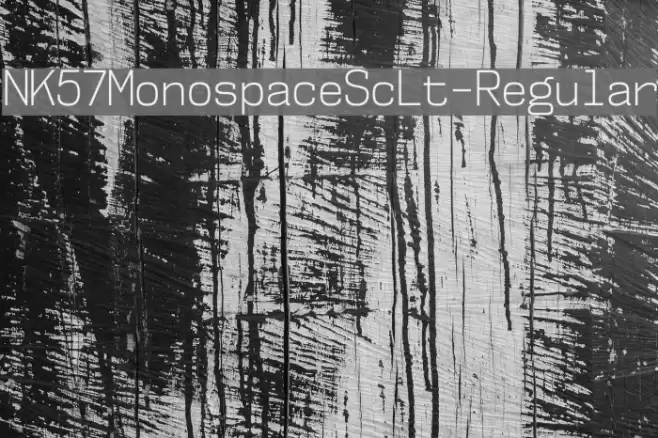 NK57MonospaceScLt-Regular Font examples