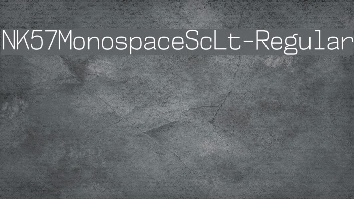 NK57MonospaceScLt-Regular Font examples