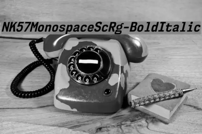 NK57MonospaceScRg-BoldItalic Font examples