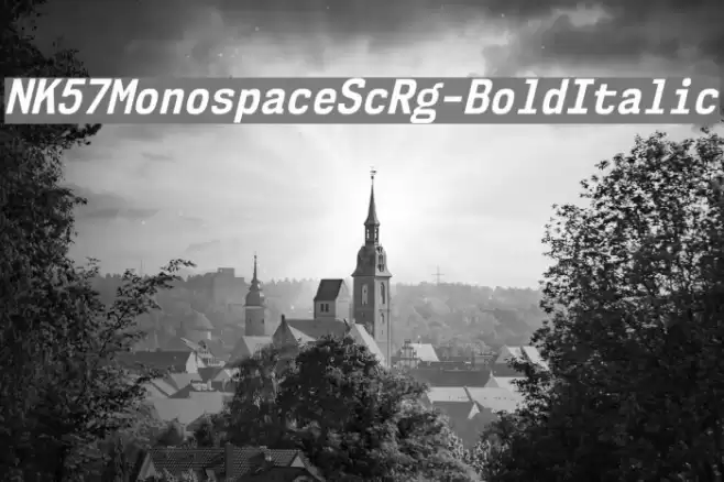 NK57MonospaceScRg-BoldItalic Font examples