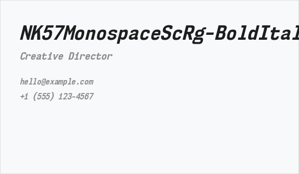 NK57MonospaceScRg-BoldItalic Business Card