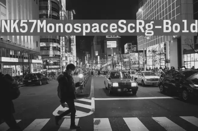 NK57MonospaceScRg-Bold Font examples