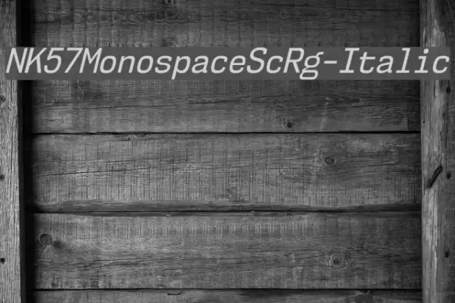 NK57MonospaceScRg-Italic Font examples