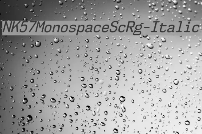 NK57MonospaceScRg-Italic Font examples