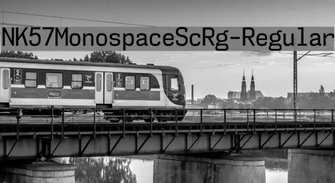 NK57MonospaceScRg-Regular Font examples