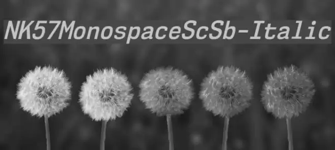 NK57MonospaceScSb-Italic Font examples