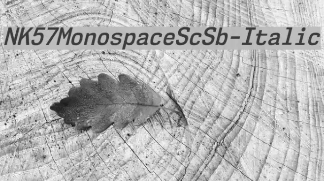 NK57MonospaceScSb-Italic Font examples