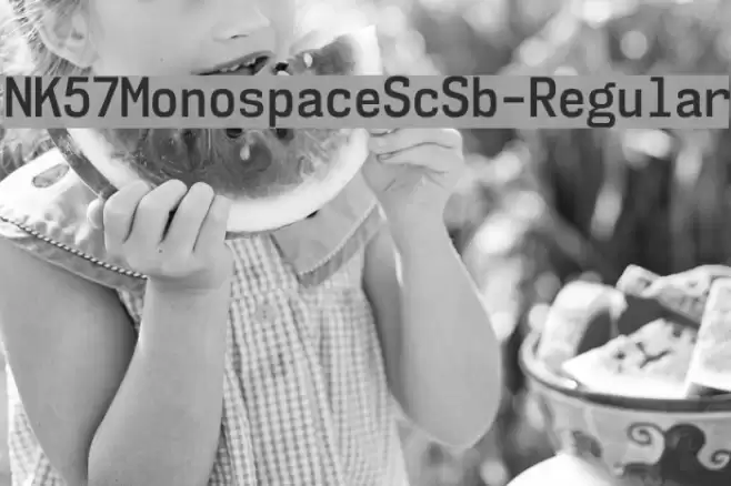 NK57MonospaceScSb-Regular Font examples