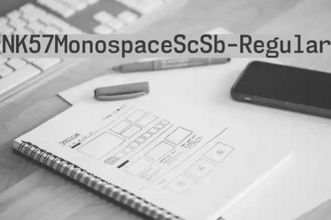 NK57MonospaceScSb-Regular Font examples