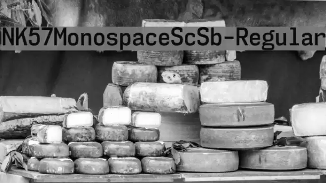NK57MonospaceScSb-Regular Font examples