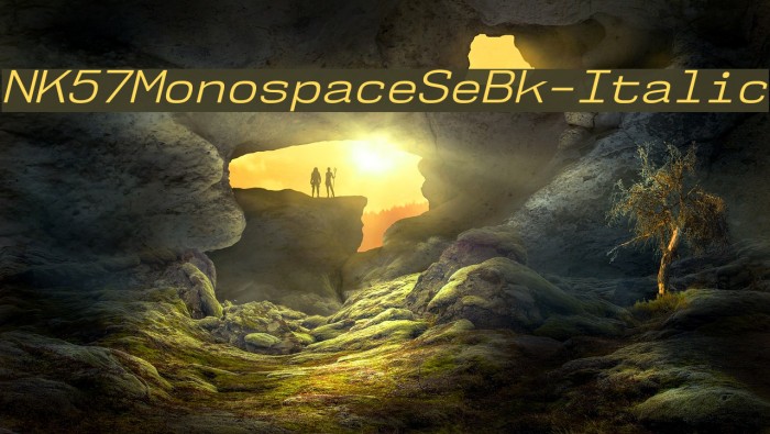 NK57MonospaceSeBk-Italic Font examples