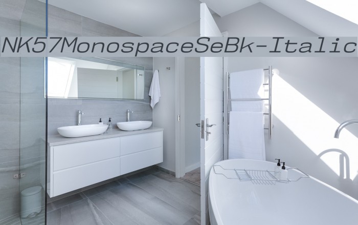 NK57MonospaceSeBk-Italic Font examples