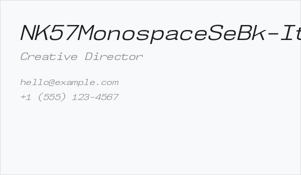 NK57MonospaceSeBk-Italic Business Card