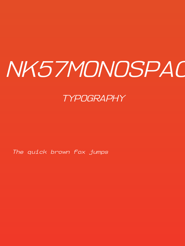 NK57MonospaceSeBk-Italic Poster