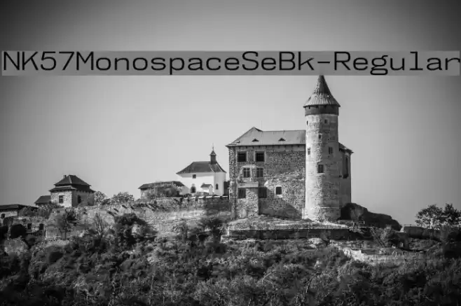 NK57MonospaceSeBk-Regular Font examples