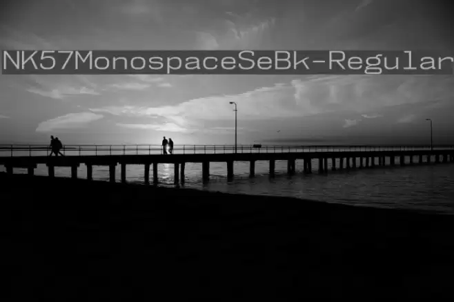 NK57MonospaceSeBk-Regular Font examples