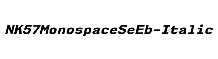 NK57MonospaceSeEb-Italic Font