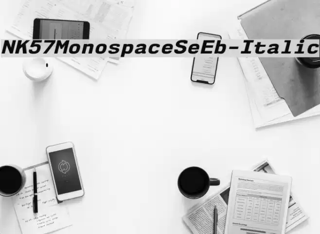 NK57MonospaceSeEb-Italic Font examples
