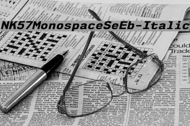 NK57MonospaceSeEb-Italic Font examples