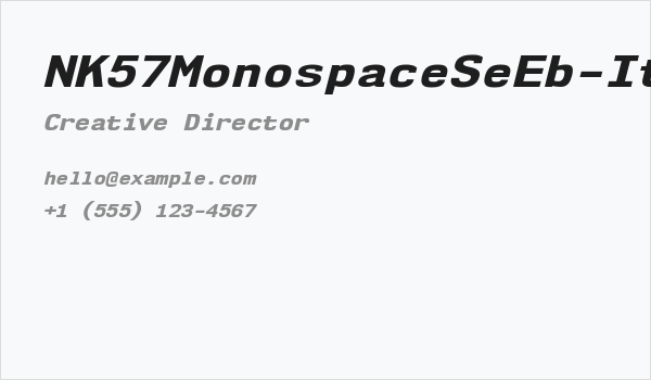 NK57MonospaceSeEb-Italic Business Card