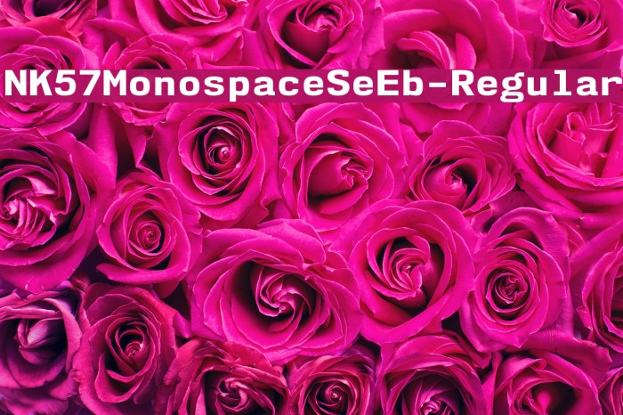 NK57MonospaceSeEb-Regular Font examples