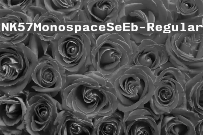 NK57MonospaceSeEb-Regular Schriftart examples