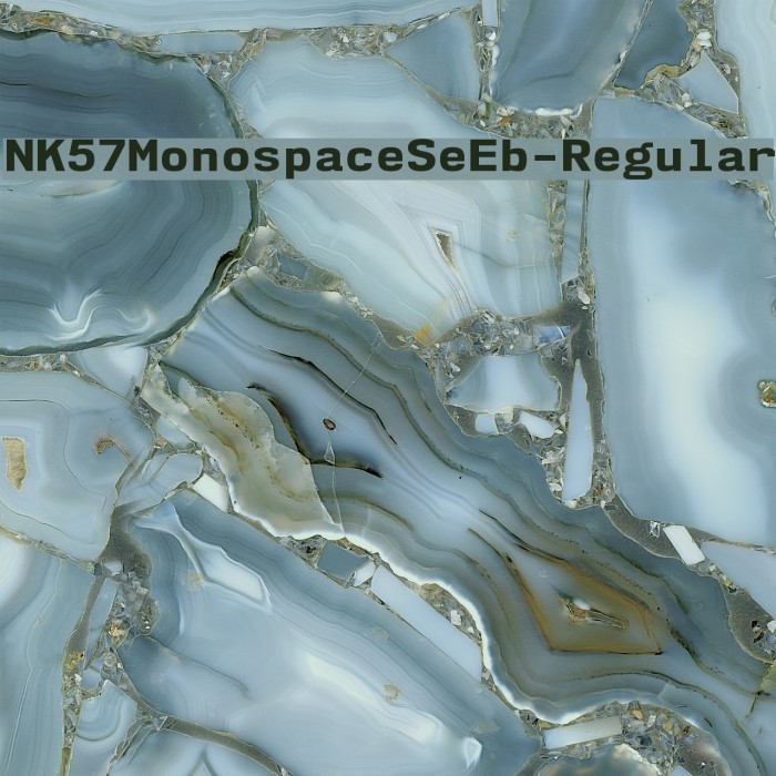 NK57MonospaceSeEb-Regular Font examples