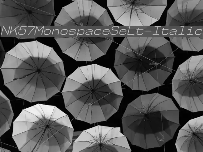 NK57MonospaceSeLt-Italic Font examples