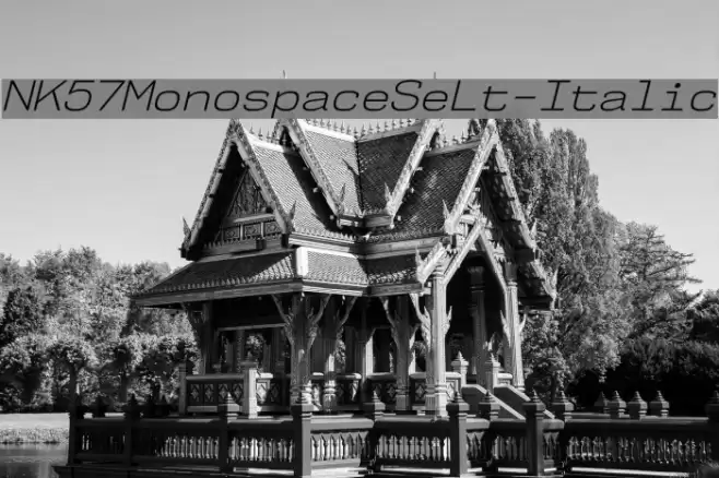 NK57MonospaceSeLt-Italic Font examples