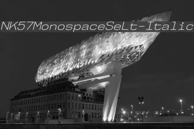 NK57MonospaceSeLt-Italic Font examples