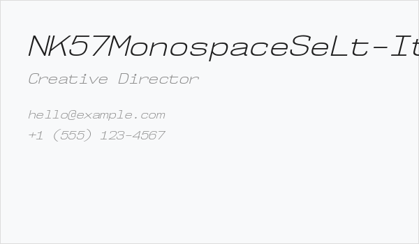 NK57MonospaceSeLt-Italic Business Card