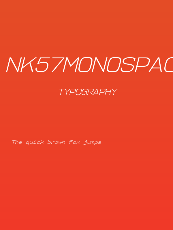 NK57MonospaceSeLt-Italic Poster