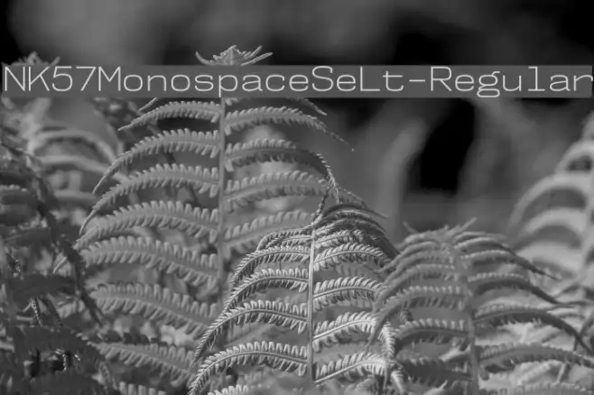 NK57MonospaceSeLt-Regular Example 1