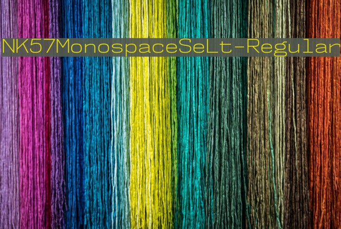 NK57MonospaceSeLt-Regular Font examples