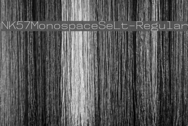 NK57MonospaceSeLt-Regular Example 2