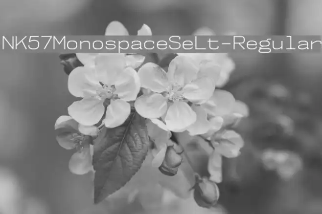 NK57MonospaceSeLt-Regular Example 3